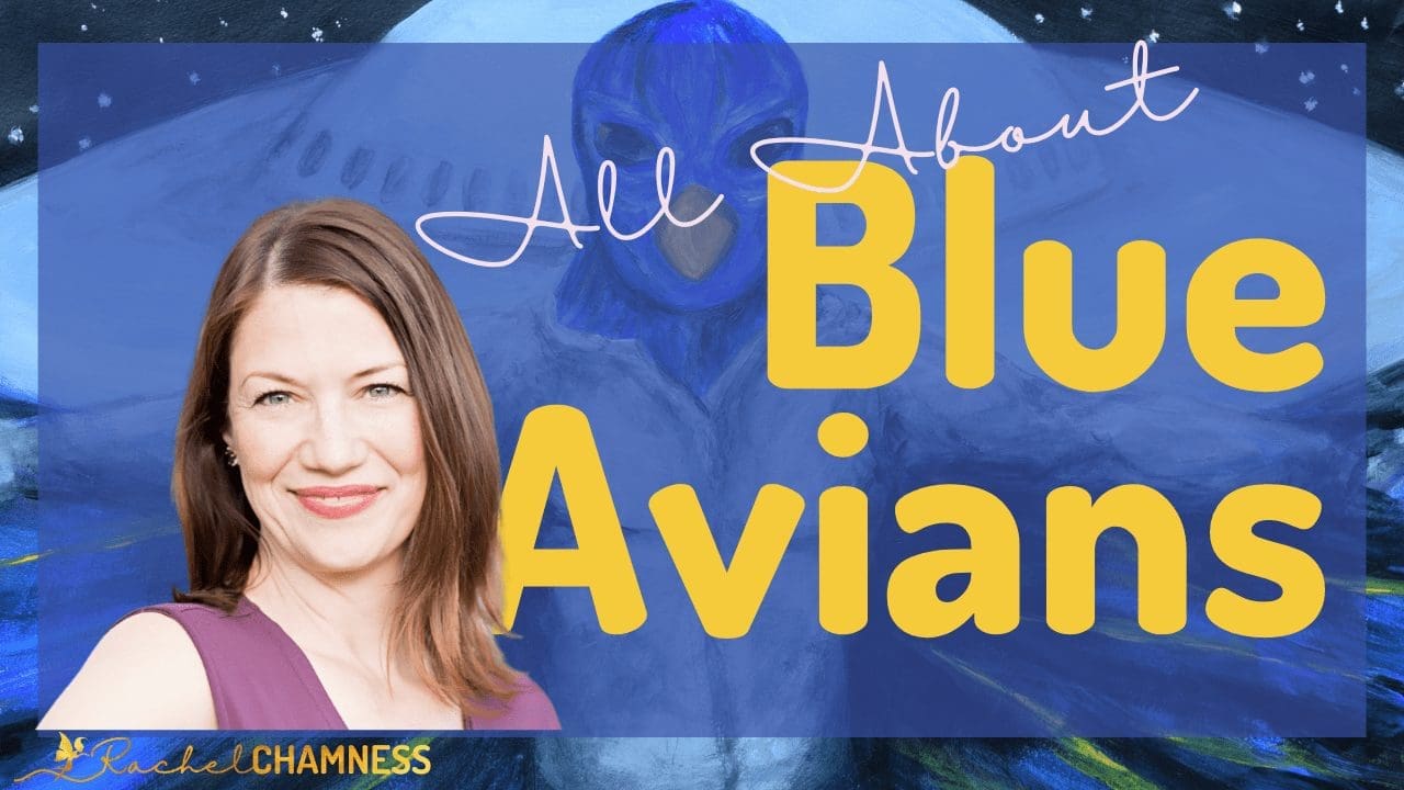 Youtube-Thumbnail-Blue avians