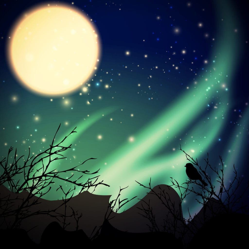 Polaris Light Beings Image