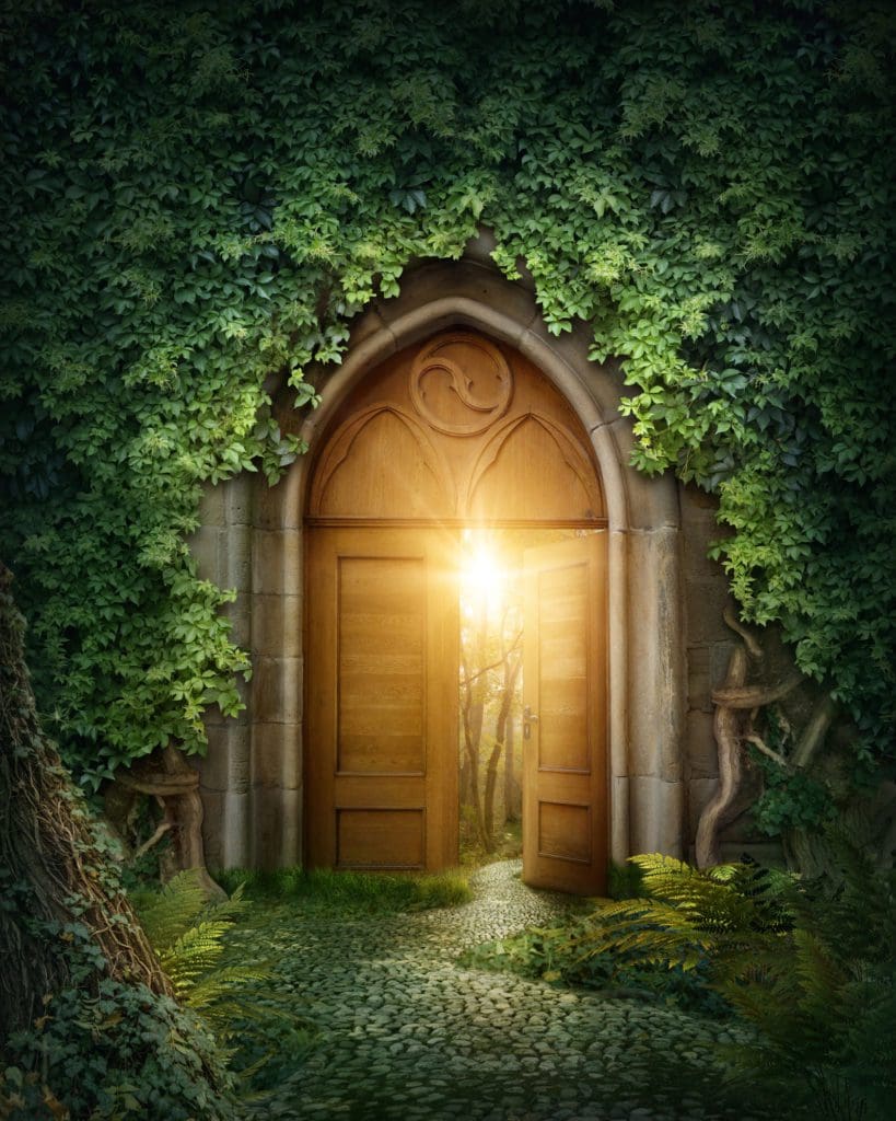 fairy door tag beginners image