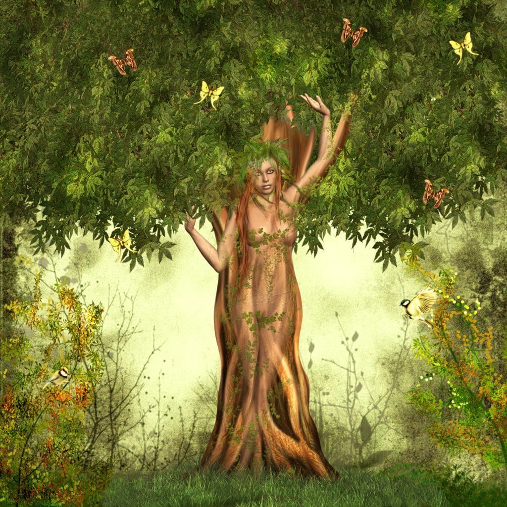 Tree Spirit Image