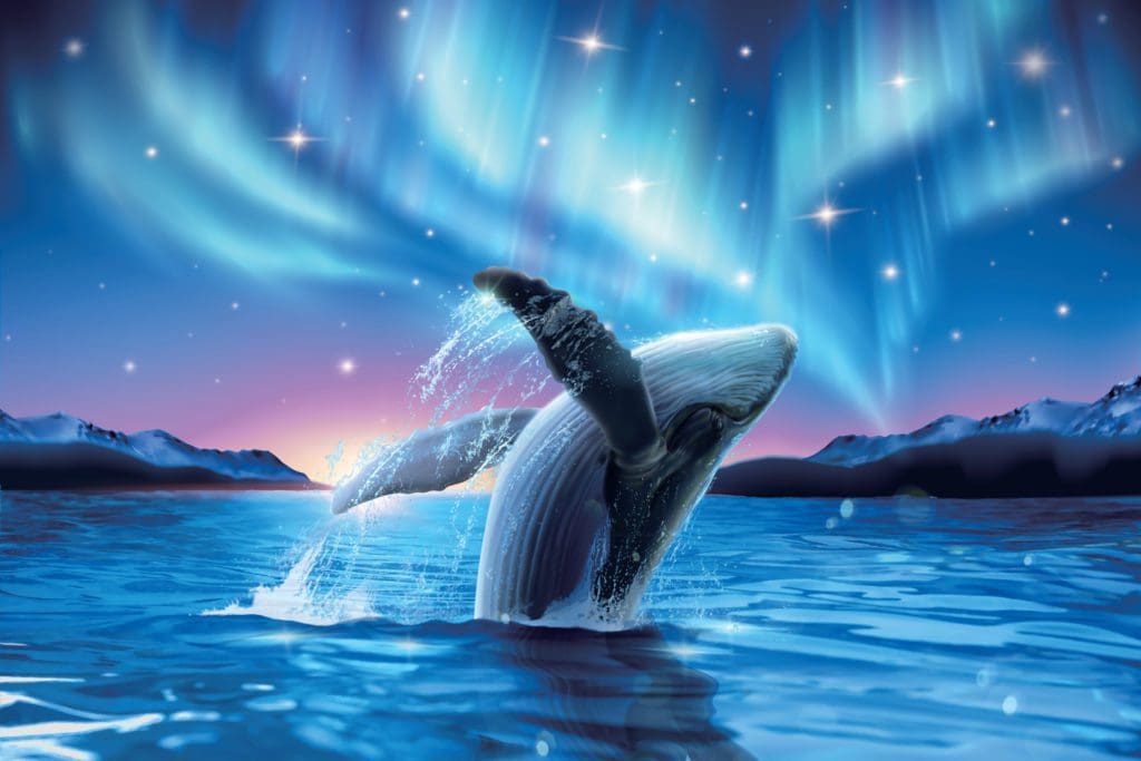 whale diamond light  image