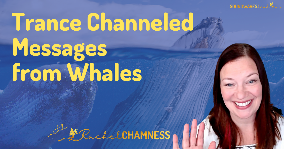 Whale channeled messages masterclass TAG image